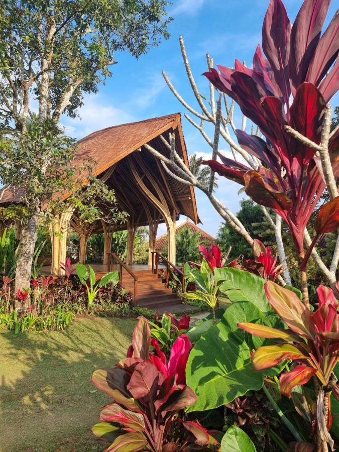 Hotel Sava Eco Retreat Padangan  Exterior foto